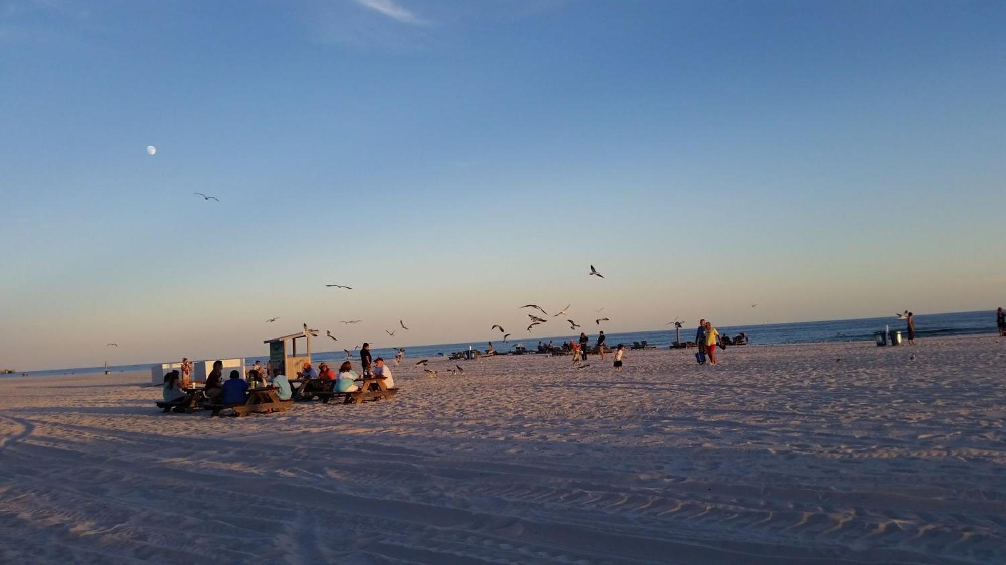 A Wave From It All Beach Resort Gulf Shores Buitenkant foto